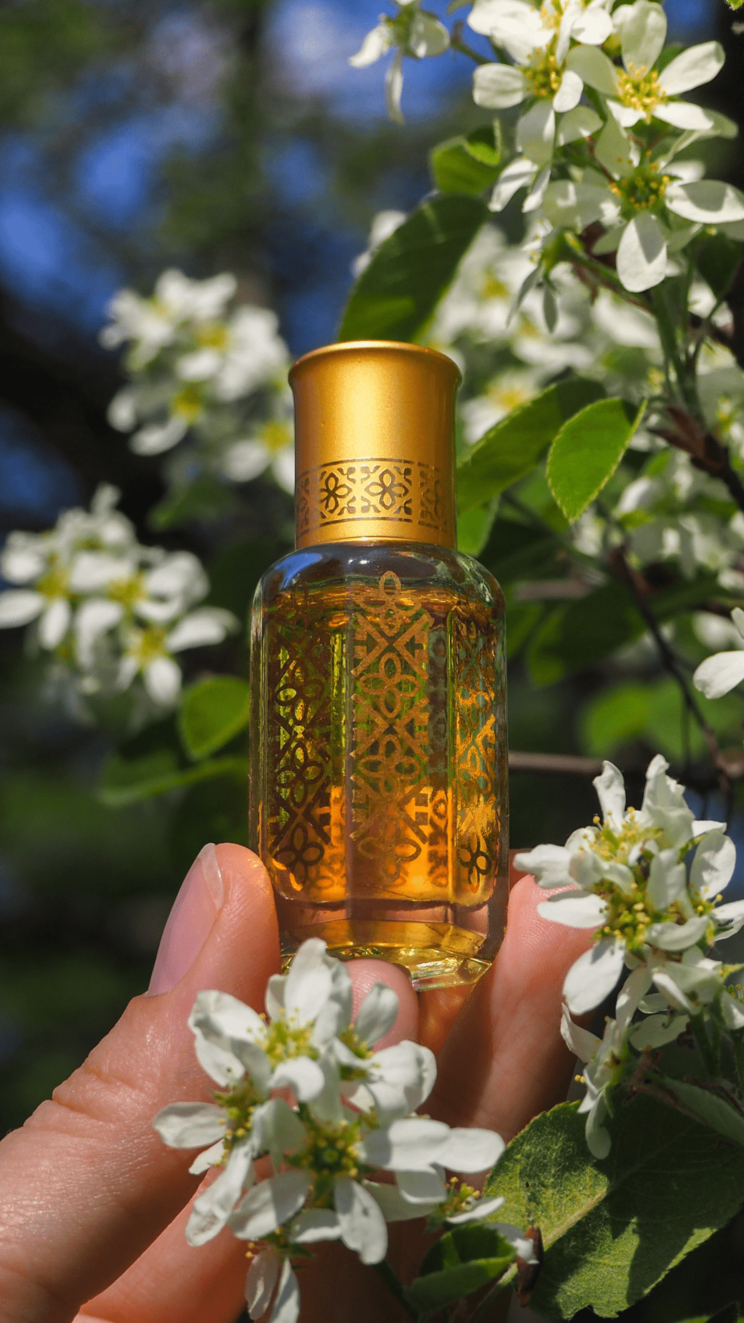 Musk Oils